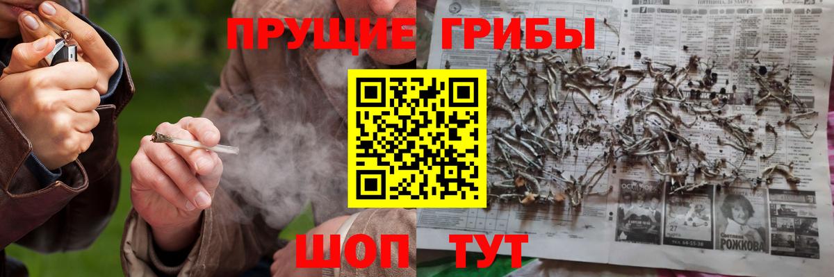 Псилоцибиновые грибы MAGIC MUSHROOMS Шали